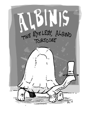 Albinis