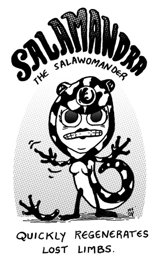 Salamandra: Quickly regenerates lost limbs
